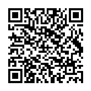 墨修尧当年到底收了多重的伤没有人比他更清楚了二维码生成