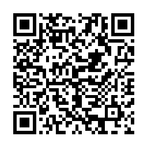 墨墨姐这么一本正经的打算把一个凡人弄上另一个凡人的床二维码生成