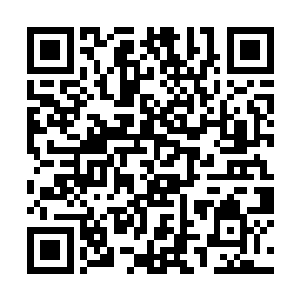 墨小宝十岁之前的生活虽然充满了和他爹的斗智斗勇二维码生成