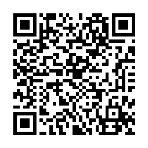 墨总管就吩咐人将原本他房里的衣服之内的全部搬到了这边二维码生成