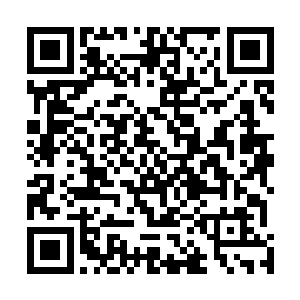 处于他们前方的费德思甚至根本没有半点出手相助的念头二维码生成