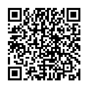 夏云杰能独自参悟出七十二般地煞变化之术已经是非常厉害了二维码生成