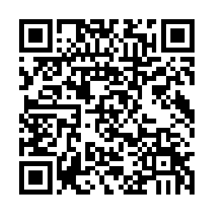 夏天一步一步的用自己的气场镇压了现场所有的人二维码生成