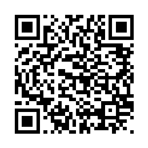 夏天一脸笑意的看着面前的这几个人二维码生成