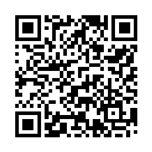 夏天的双眼在百翅神主的身上看了一圈二维码生成