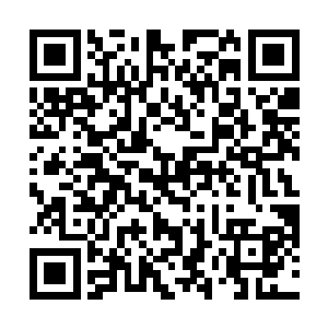 夕夜以及司马老贼等知名选手正从加长林肯里潇洒迈出二维码生成