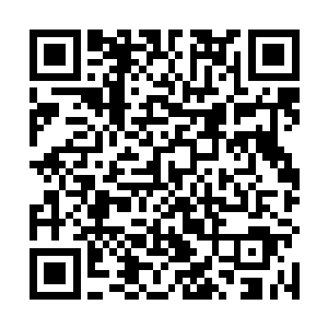 外边冰刃和飞天蜈蚣还围绕着红莲散发的光晕张牙舞爪二维码生成