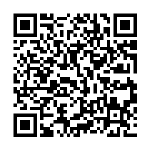 外间卓靖几个跟前堆积的更多正在做初步审阅分类的折子了二维码生成