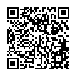 外面负责看守灵兽飞车和飞船法器的那些天香阁守卫弟子二维码生成