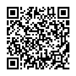 外面这家伙把整个天坑药谷中的灵物和矿脉晶石搜刮走了后二维码生成