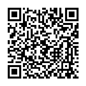 夜染区区一个人和四个灵兽就灭了夜叉族一个大家族二维码生成