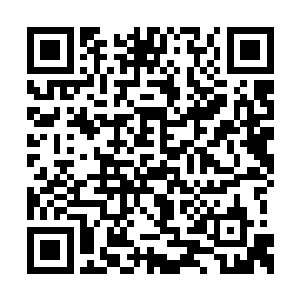 夜染只是扫一眼卡卡和豆豆就知道他们在想什么二维码生成