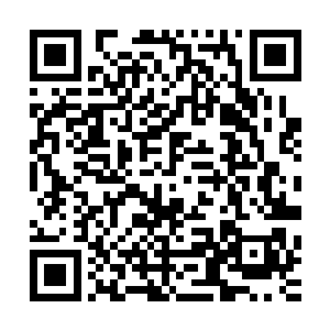 夜染将卡卡和小穹留在酒店中为修炼中的夜玄烨和舞若飘护法二维码生成