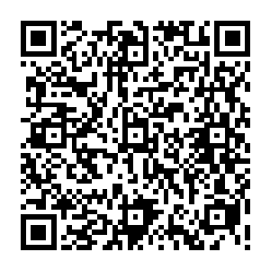 夜染感觉到了苍穹宝塔内强横的毁灭力量也同时开始凶猛的撞击起了墨皇留下的力量二维码生成