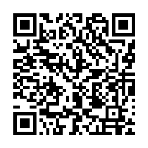 夜染慢条斯理的理了理左手无名指上墨皇亲自为她戴上的戒指二维码生成