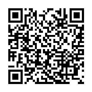 夜辜星将一个处于青春期的女孩儿诠释得近乎完美二维码生成