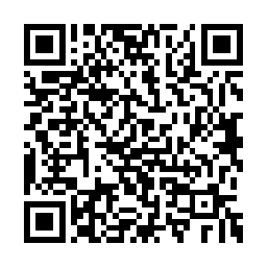 大农信誓旦旦说子房学弟会来学习农家灵植之术二维码生成