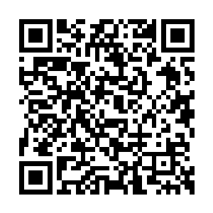 大力的玩具工厂目前主要生产的就是汽车和飞机二维码生成