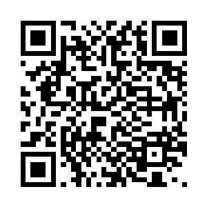 大厅里就剩下了雷天和花落英两个人二维码生成