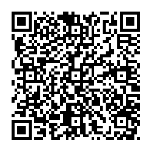 大吼传來伴随着无数强大的气息风清扬心神震动带着小火向后转身然而已经來不及了二维码生成