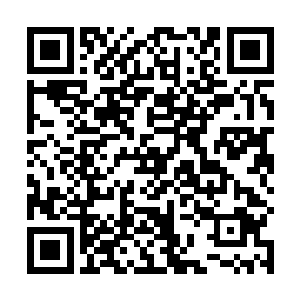 大多数人正在脑补着在岛面上时所看到那栋圆柱形建筑二维码生成