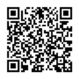 大多数人都会向这个满身血迹的少年投来奇怪疑惑的目光二维码生成