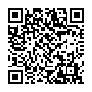 大宗师宁立恒将同是大宗师的刘西瓜逼到墙角里二维码生成