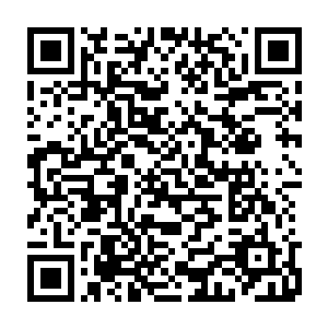 大家也都是努力而得到回报的――我们每个人都是团队之中重要的一份子二维码生成
