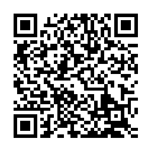 大家又都能够在这里继续冲击九重天而不至于随时引来量劫了二维码生成