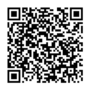 大家只要在基地的大厅里看实况转播就可以将他们的行动看的一清二楚二维码生成