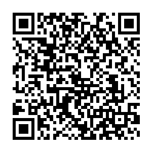 大家都纷纷讨论着南宫大人驯服幻化二星雷系绿怪魔兽的伟大事迹二维码生成