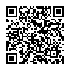 大家都自动把他们族长大人给当成门神一样的存在二维码生成