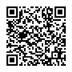 大家都这么觉得的这些花和白芷璃根本一点都不相配二维码生成