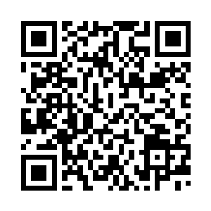 大布偶熊的颜色从黑色变回了棕色二维码生成