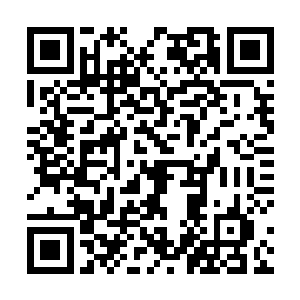 大概就已经推断出来灵火到底能对光幕造成多大的打击二维码生成