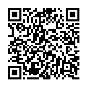 大概猜出这些幻象是当初白虎凶魂所经历的事情二维码生成