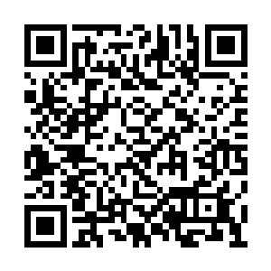 大殿内所有人都傻乎乎地望着那紫粉色精致轿子二维码生成