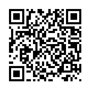 大片大片的黑色甲虫覆盖在沙地上二维码生成