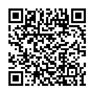 大牢中针对影卫的审讯从头到尾都没有偏乱之处二维码生成