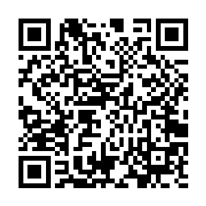 大皇子夏岚风候在车驾旁看着释羽薰有些欲言又止二维码生成
