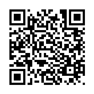 大约也是一个中看不中用的绣花枕头二维码生成