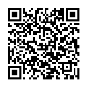 大胖子的声音刚刚落下就听到一个嚣张的声音响了起来二维码生成