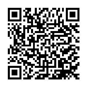 大赏皇家护卫团与皇家骑士团在这次叛军袭击中死亡的勇士们二维码生成