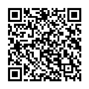 大长老二长老三长老他们正在闭关参悟上头给的东西二维码生成