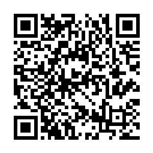 大长老和族长的目光不由自主都聚集在他的手掌上二维码生成