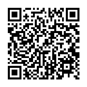 大门口那些挺胸腆肚的仆役门房早已跑了个精光二维码生成