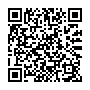 天丹阁的人也根本就不知道这个种子到底是什么二维码生成