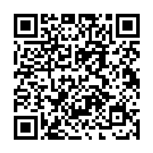 天地五灵果所化作的能量疯狂的冲击着韩风的经脉二维码生成