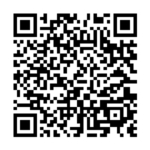 天地玄奥这个领域的东西对于现在的她來说还太过遥远了二维码生成