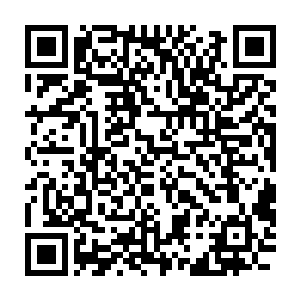 天外陨石在林烽的手心之中散发着让龙玉恨不得直接扑上去的光芒二维码生成